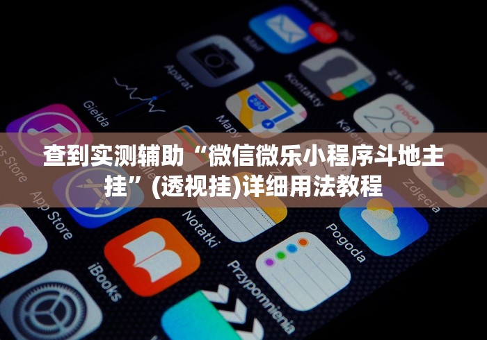 查到实测辅助“微信微乐小程序斗地主挂”(透视挂)详细用法教程
