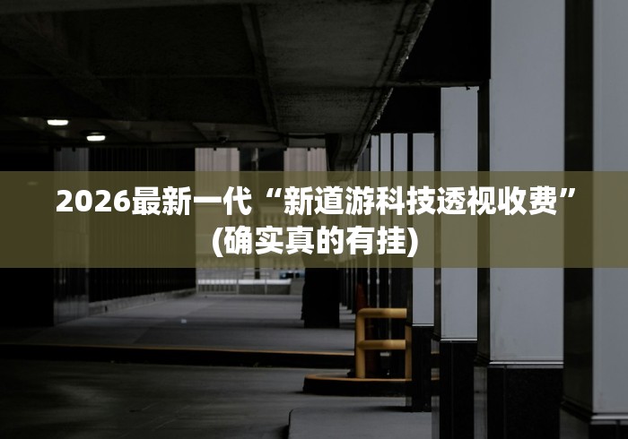 2026最新一代“新道游科技透视收费”(确实真的有挂)