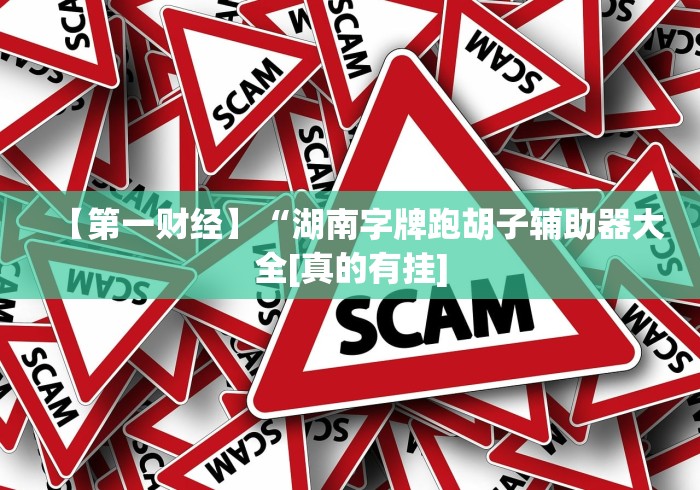 【第一财经】“湖南字牌跑胡子辅助器大全[真的有挂]