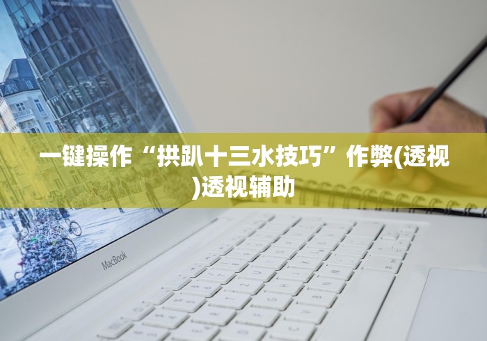 一键操作“拱趴十三水技巧”作弊(透视)透视辅助