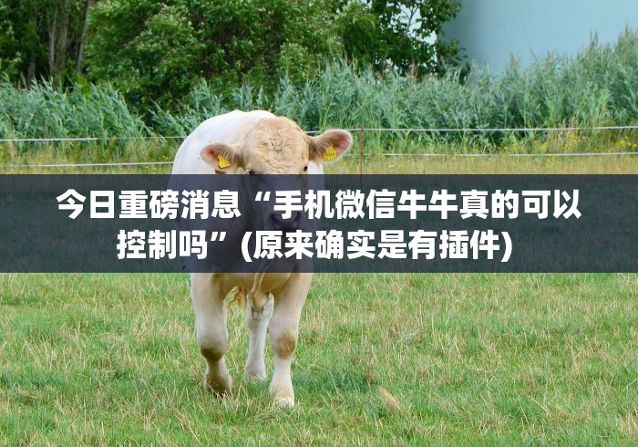 今日重磅消息“手机微信牛牛真的可以控制吗”(原来确实是有插件) 