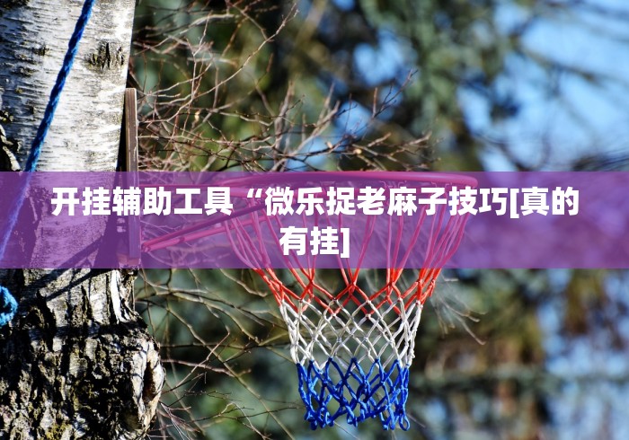 开挂辅助工具“微乐捉老麻子技巧[真的有挂]