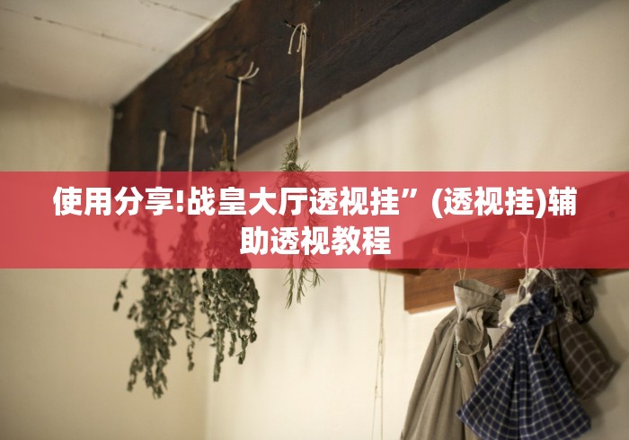 使用分享!战皇大厅透视挂”(透视挂)辅助透视教程
