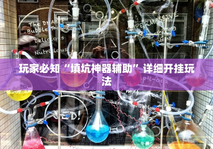 玩家必知“填坑神器辅助”详细开挂玩法