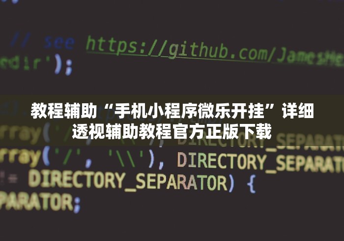 教程辅助“手机小程序微乐开挂”详细透视辅助教程官方正版下载