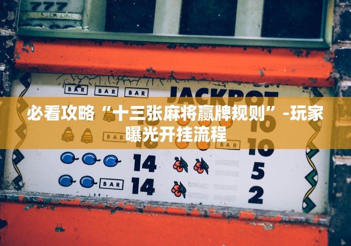 必看攻略“十三张麻将赢牌规则”-玩家曝光开挂流程
