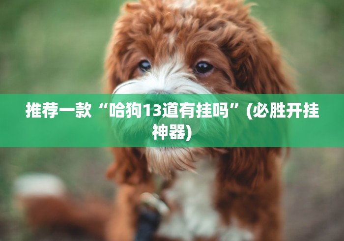 推荐一款“哈狗13道有挂吗”(必胜开挂神器)
