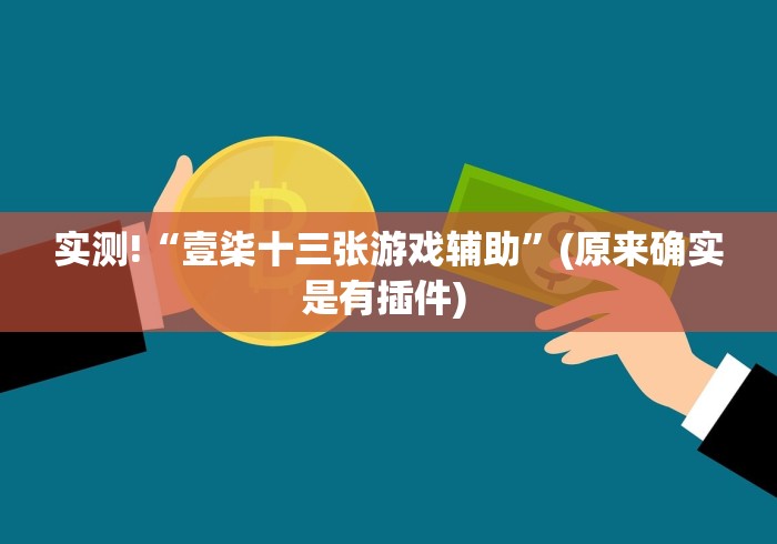 实测!“壹柒十三张游戏辅助”(原来确实是有插件) 