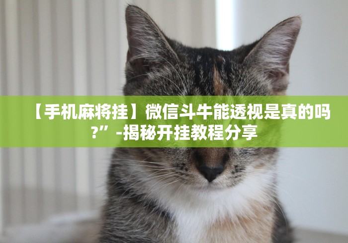 【手机麻将挂】微信斗牛能透视是真的吗?”-揭秘开挂教程分享