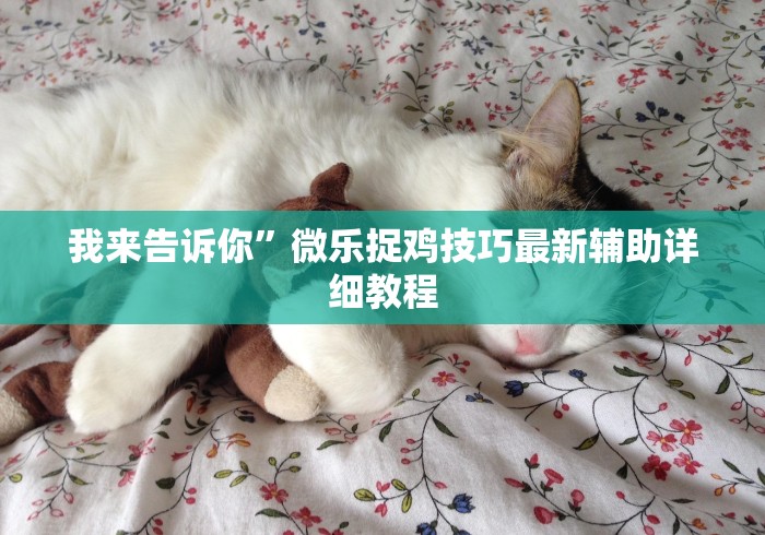 我来告诉你	”微乐捉鸡技巧最新辅助详细教程