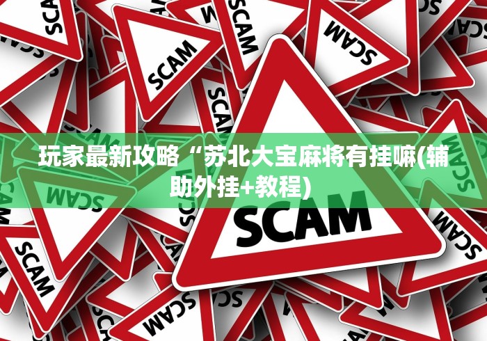 玩家最新攻略“苏北大宝麻将有挂嘛(辅助外挂+教程) 