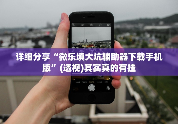 详细分享“微乐填大坑辅助器下载手机版”(透视)其实真的有挂