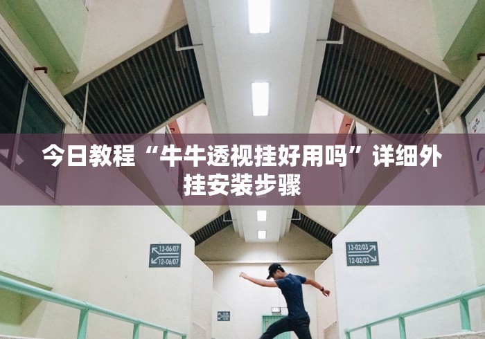 今日教程“牛牛透视挂好用吗”详细外挂安装步骤