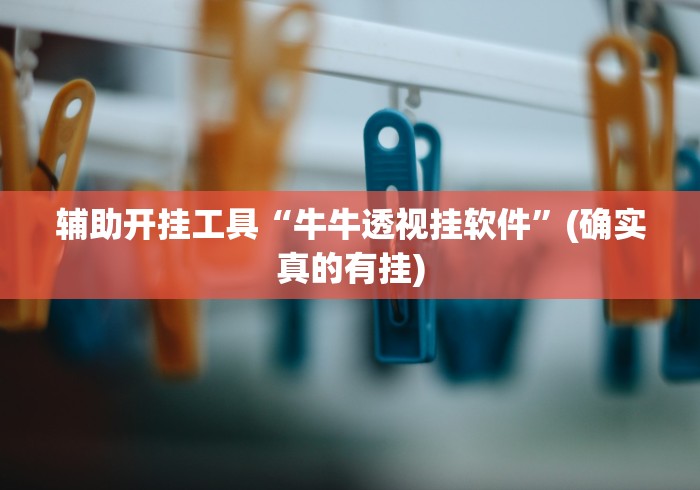 辅助开挂工具“牛牛透视挂软件	”(确实真的有挂)