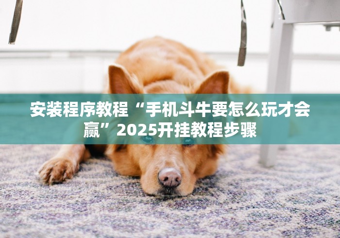 安装程序教程“手机斗牛要怎么玩才会赢”2025开挂教程步骤