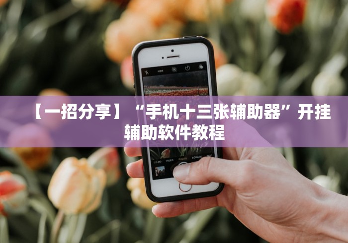 【一招分享】“手机十三张辅助器”开挂辅助软件教程