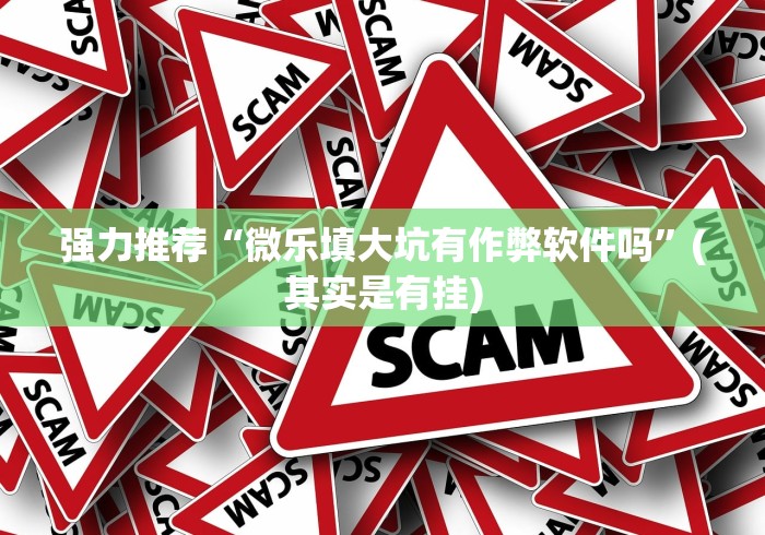 强力推荐“微乐填大坑有作弊软件吗”(其实是有挂)
