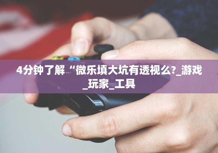 4分钟了解“微乐填大坑有透视么?_游戏_玩家_工具