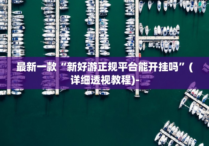 最新一款“新好游正规平台能开挂吗”(详细透视教程)-