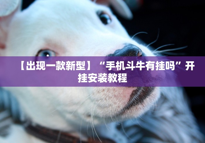 【出现一款新型】“手机斗牛有挂吗	”开挂安装教程