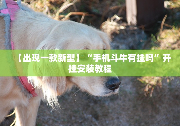 【出现一款新型】“手机斗牛有挂吗”开挂安装教程