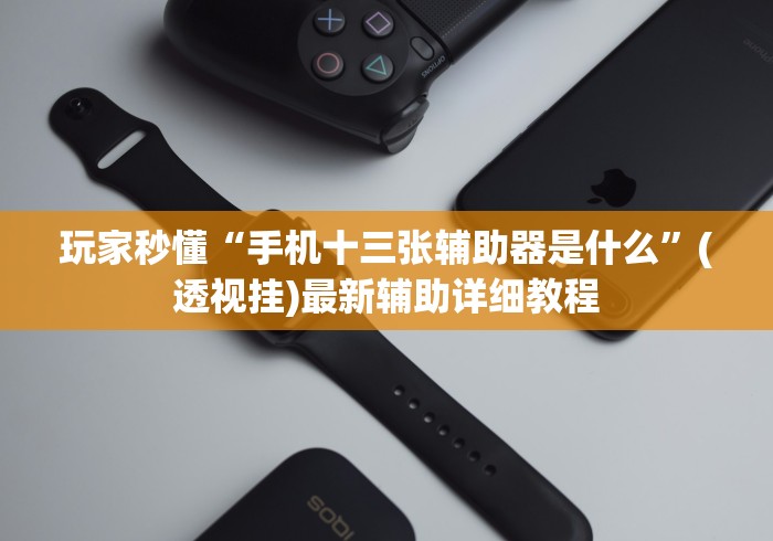 玩家秒懂“手机十三张辅助器是什么	”(透视挂)最新辅助详细教程