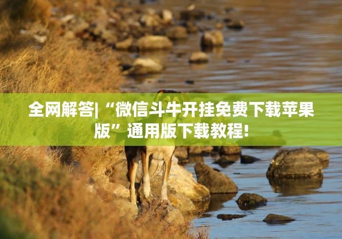 全网解答|“微信斗牛开挂免费下载苹果版	”通用版下载教程!
