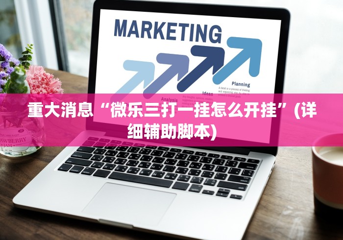 重大消息“微乐三打一挂怎么开挂”(详细辅助脚本)