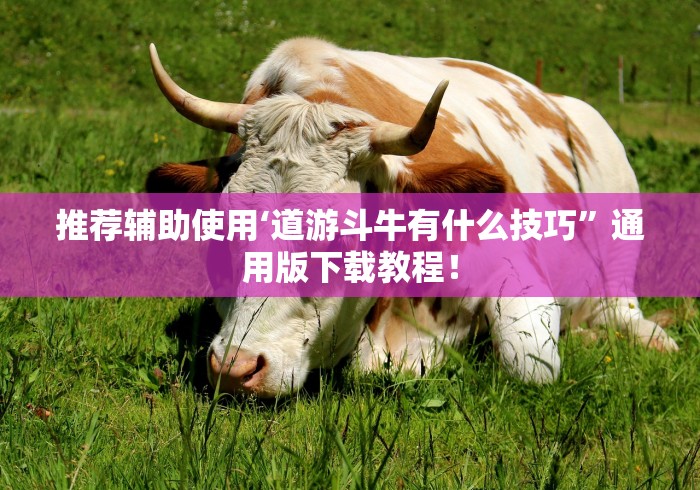 推荐辅助使用‘道游斗牛有什么技巧”通用版下载教程！