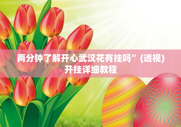 两分钟了解开心武汉花有挂吗”(透视)开挂详细教程