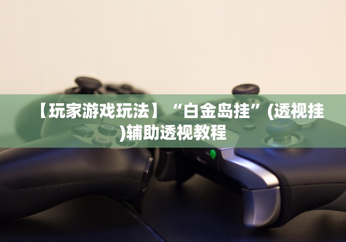 【玩家游戏玩法】“白金岛挂”(透视挂)辅助透视教程