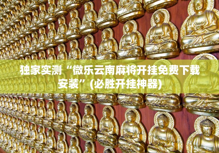 独家实测“微乐云南麻将开挂免费下载安装	”(必胜开挂神器)
