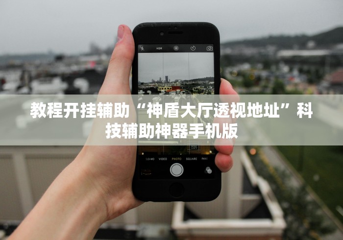 教程开挂辅助“神盾大厅透视地址”科技辅助神器手机版