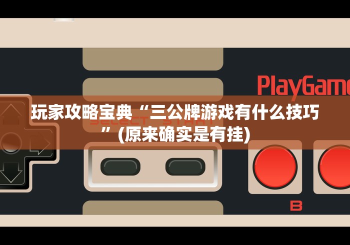 玩家攻略宝典“三公牌游戏有什么技巧”(原来确实是有挂)