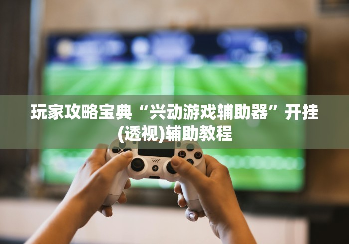 玩家攻略宝典“兴动游戏辅助器”开挂(透视)辅助教程