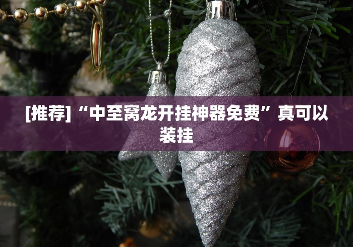 [推荐]“中至窝龙开挂神器免费”真可以装挂