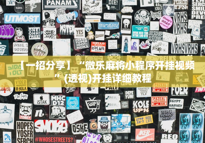 【一招分享】“微乐麻将小程序开挂视频	”(透视)开挂详细教程