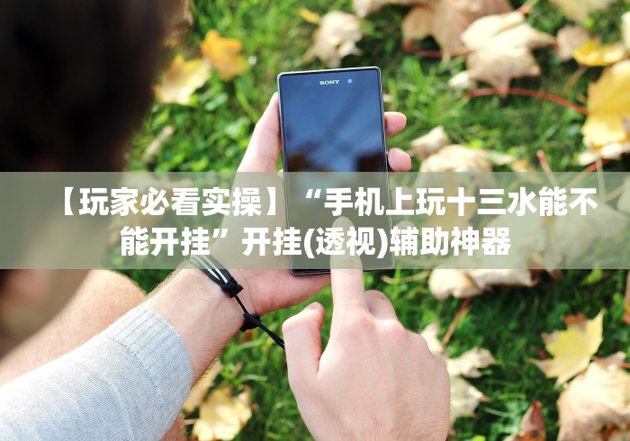 【玩家必看实操】“手机上玩十三水能不能开挂	”开挂(透视)辅助神器