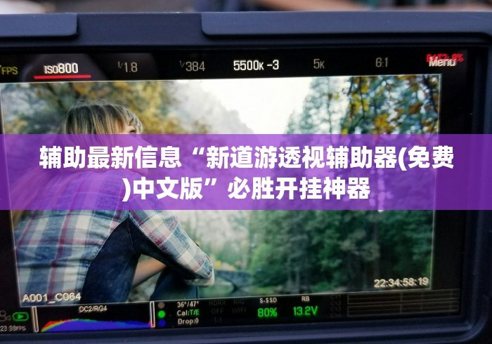 辅助最新信息“新道游透视辅助器(免费)中文版”必胜开挂神器