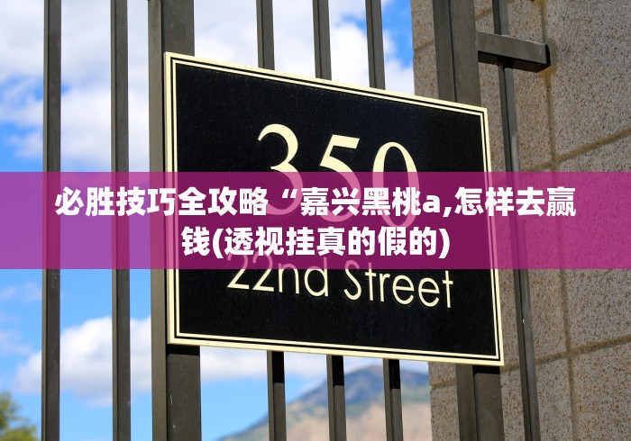 必胜技巧全攻略“嘉兴黑桃a,怎样去赢钱(透视挂真的假的)